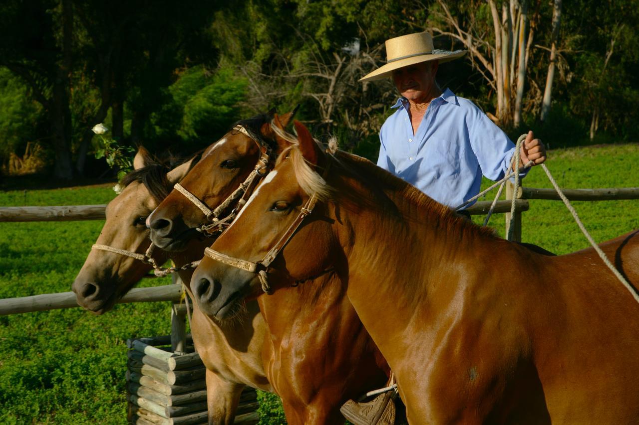 Hacienda Santa Cristina Otel Ovalle Dış mekan fotoğraf