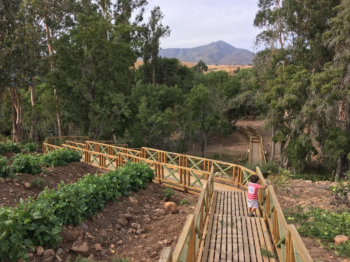 Hacienda Santa Cristina Otel Ovalle Dış mekan fotoğraf