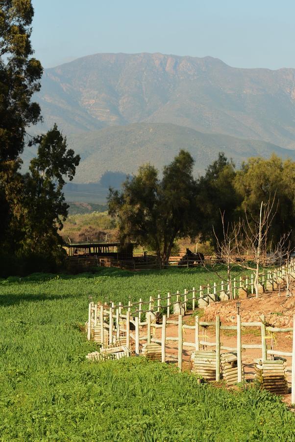 Hacienda Santa Cristina Otel Ovalle Dış mekan fotoğraf